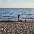 Hundestrand