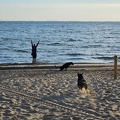 Heiligenhafen Strand