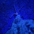 Aquazoo Düsseldorf