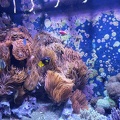 Aquazoo Düsseldorf