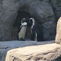 Aquazoo Düsseldorf