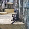 Wuppertal Zoo