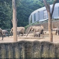 Wuppertal Zoo