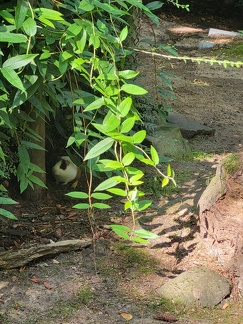 Wuppertal Zoo