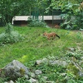 Wuppertal Zoo