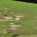 Wuppertal Zoo
