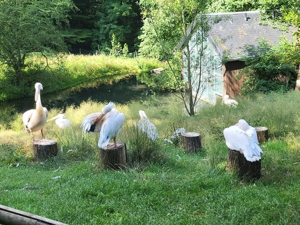 Wuppertal Zoo