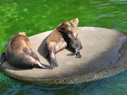 Wuppertal Zoo