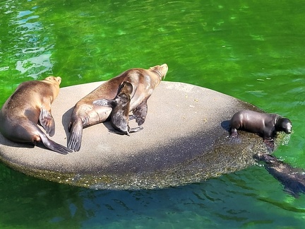 Wuppertal Zoo
