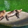 Wuppertal Zoo