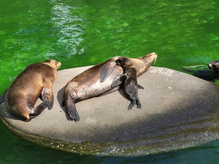 Wuppertal Zoo