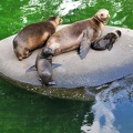 Wuppertal Zoo
