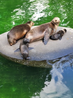 Wuppertal Zoo