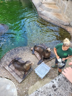 Wuppertal Zoo