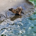 Wuppertal Zoo