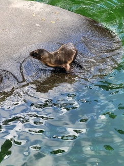 Wuppertal Zoo