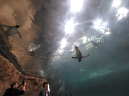 Wuppertal Zoo