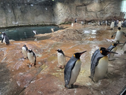 Wuppertal Zoo