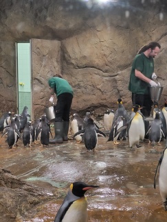 Wuppertal Zoo