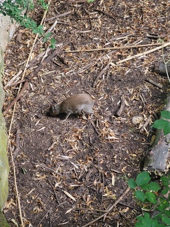 Wuppertal Zoo