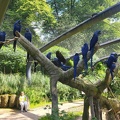 Wuppertal Zoo