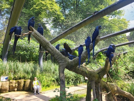 Wuppertal Zoo