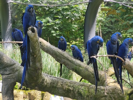 Wuppertal Zoo