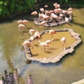 Wuppertal Zoo