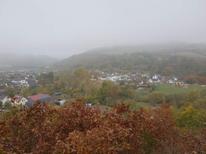 20181020_110441.jpg