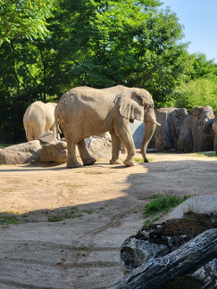 Zoo Duisburg