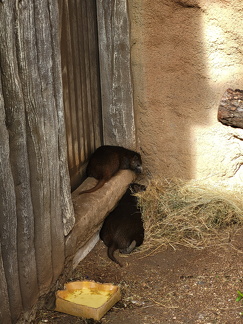 Zoo Duisburg