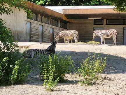 Zoo Duisburg