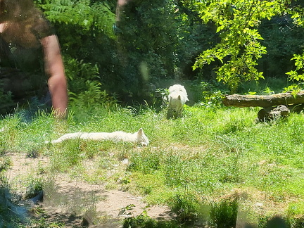 Zoo Duisburg