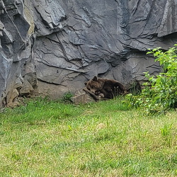 Zoos