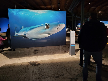 2024 Wasserwelten Oberhausen