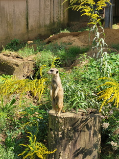 2024 Betriebsausflug