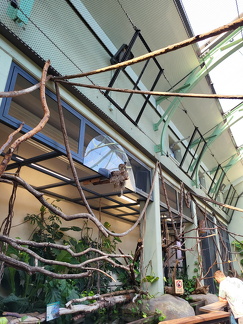 2024 Betriebsausflug