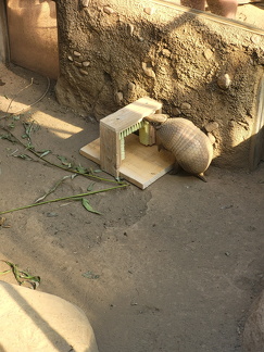 2024 Betriebsausflug