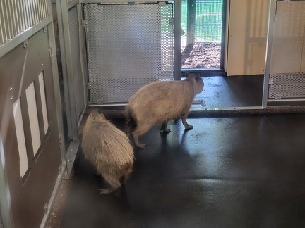 2024 Betriebsausflug