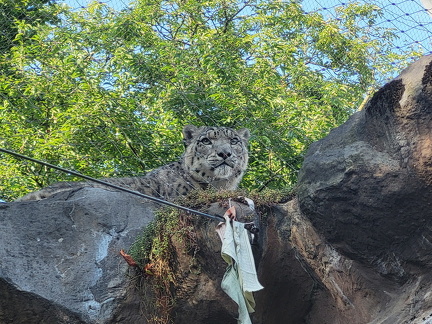 2024 Betriebsausflug