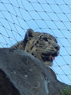 2024 Betriebsausflug