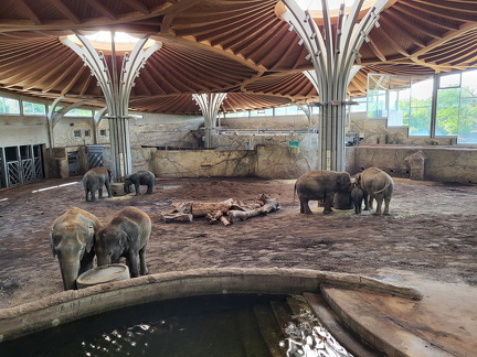 2024 Betriebsausflug