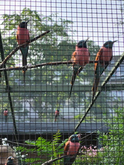 2024 Betriebsausflug