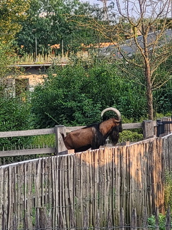 2024 Betriebsausflug