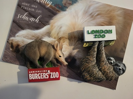 2023 Burger's Zoo Mitbringsel